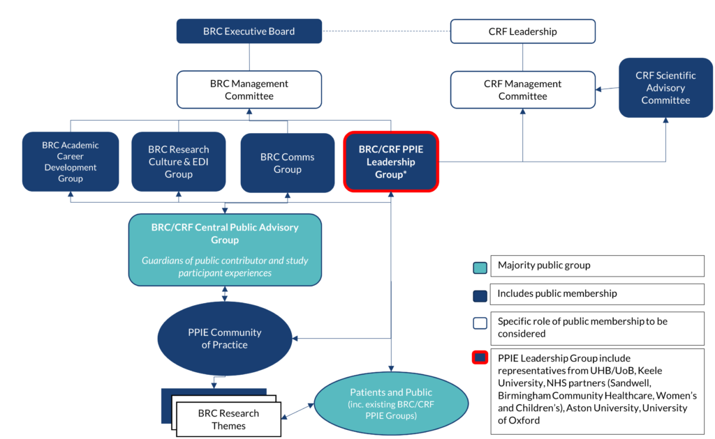 Organigram of the BRC infrastructure, with committees and groups marked with different colours depending on the level of public and patient inclusion within them