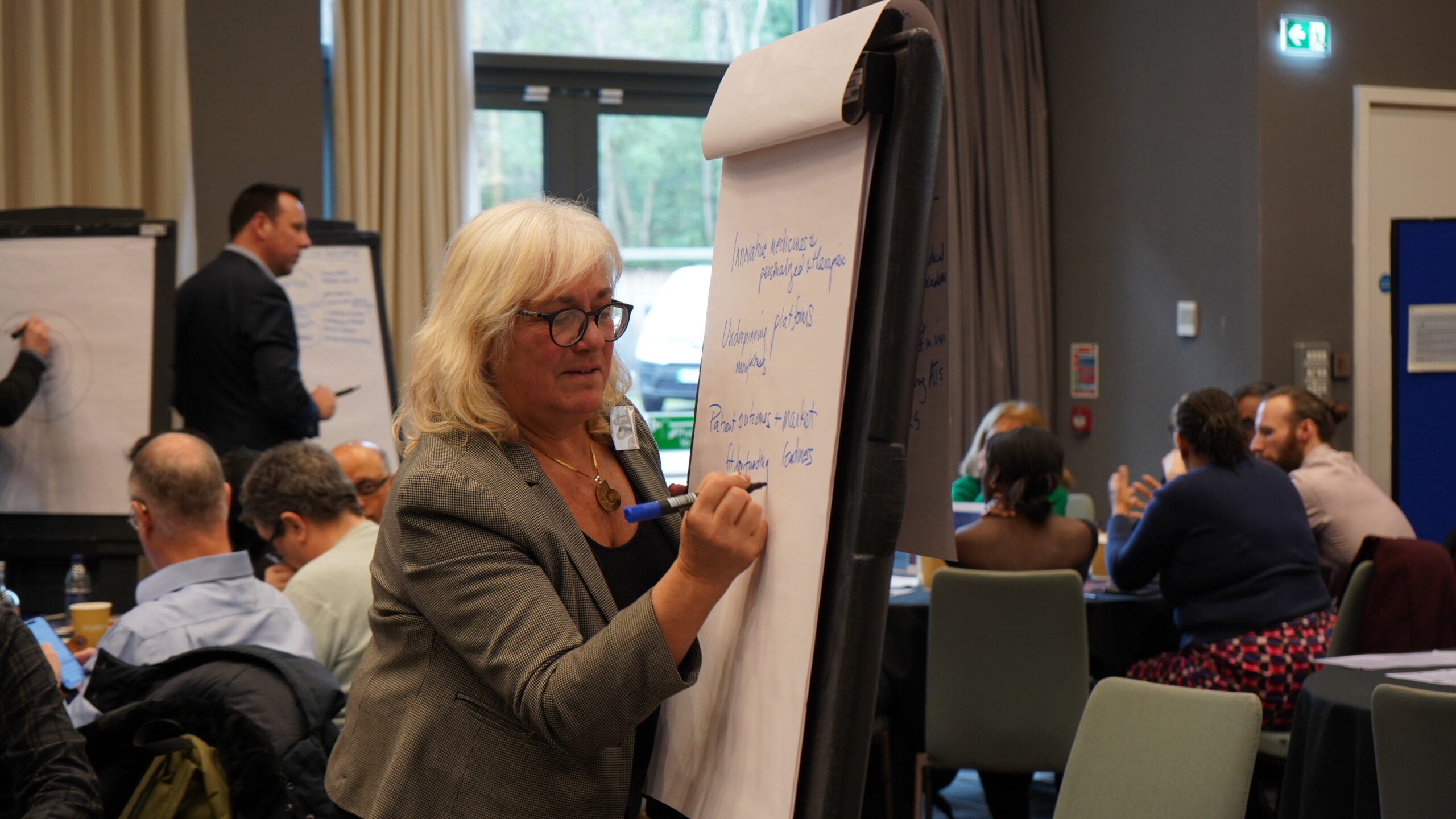 Prof Alicia El Haj writing on a flipchart