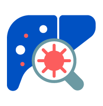 Inflammatory liver disease icon