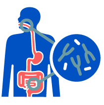 Oral intestinal and sistemic health icon