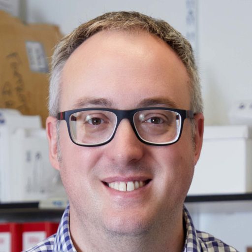 Professor Andrew Beggs
